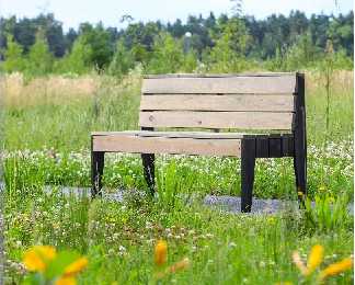 Dutch Bench