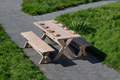 Dijon Set