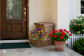 Parcel Store with flowerpot cacao