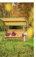 Swing with Canopy