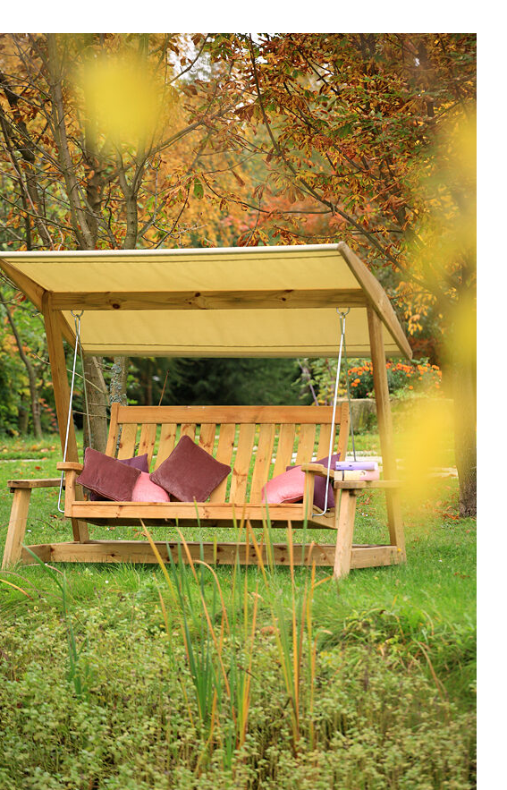 Swing with Canopy